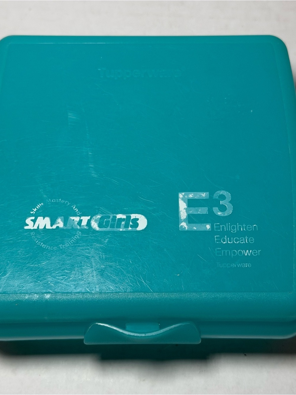 Vintage Tupperware Blue Sandwich Holder Container